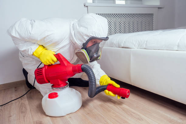 Best Best Pest Control Companies  in Paul, ID