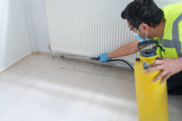 Professional Pest Control in Paul, ID