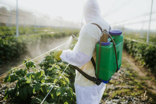 Best Commercial Pest Control Services  in Paul, ID